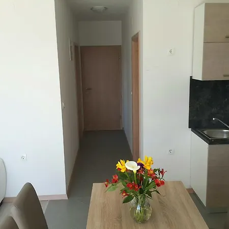 Solmaris Apartments Sukosan Exterior photo